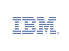 2010-02-10_IBM
