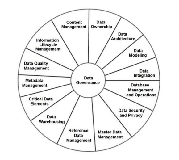 Organizing for Data Governance - Figure 4